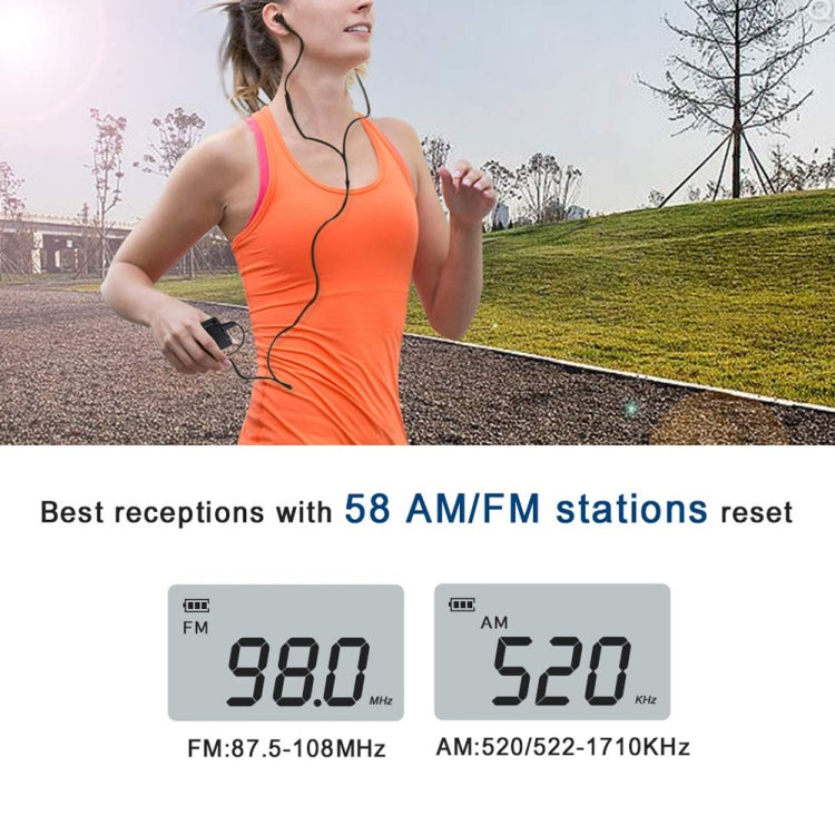 HRD-103 FM + AM Two Band Portable Radio with Lanyard & Headset(Black)