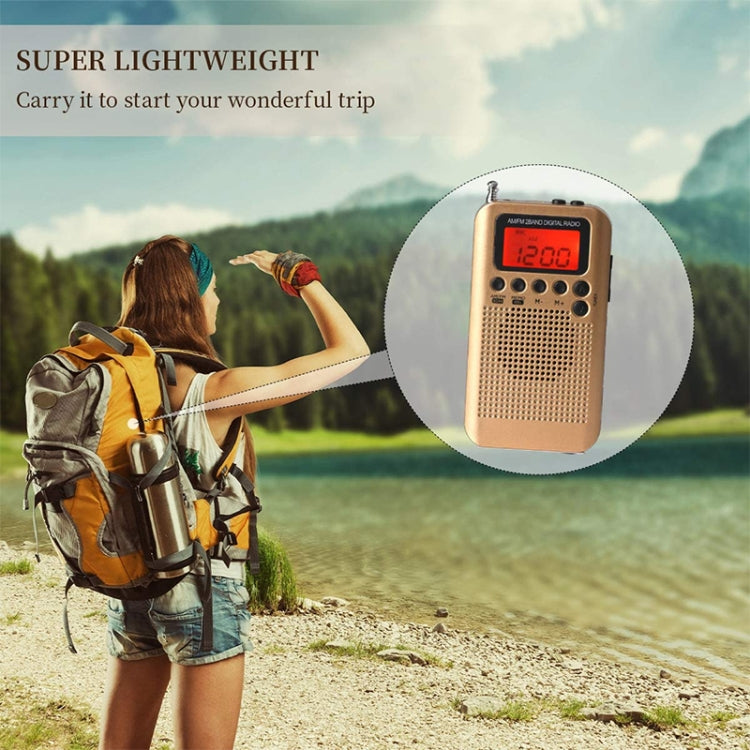 HRD-104 Mini Portable FM + AM Two Band Radio with Loudspeaker(Grey)