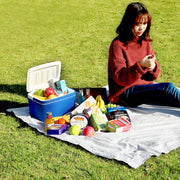 Car Portable Mini Cooler 6L EPS Refrigerator