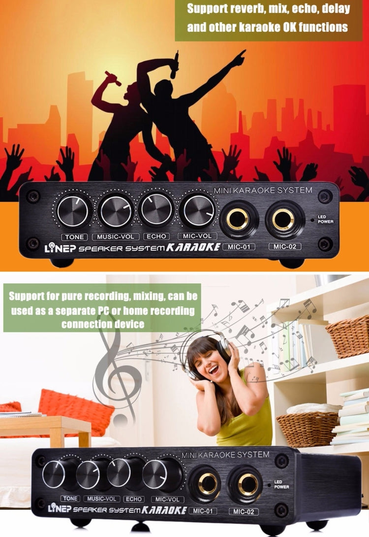 A933 Mini Karaoke Machine System Sound Mixer Amplifier for PC / TV / Mobile Phones, Support RCA in / 2 Channel Mic in(Black)