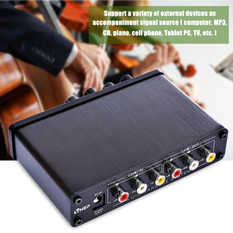 A933 Mini Karaoke Machine System Sound Mixer Amplifier for PC / TV / Mobile Phones, Support RCA in / 2 Channel Mic in(Black)