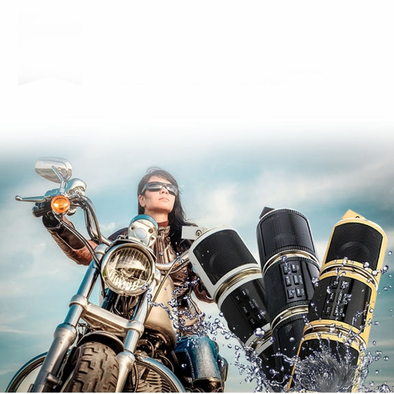 Motorcycle Water-resistant Aluminum Shell Bluetooth Handle Stereo Speaker, Support BT/MP3/FM/TF(Gold)