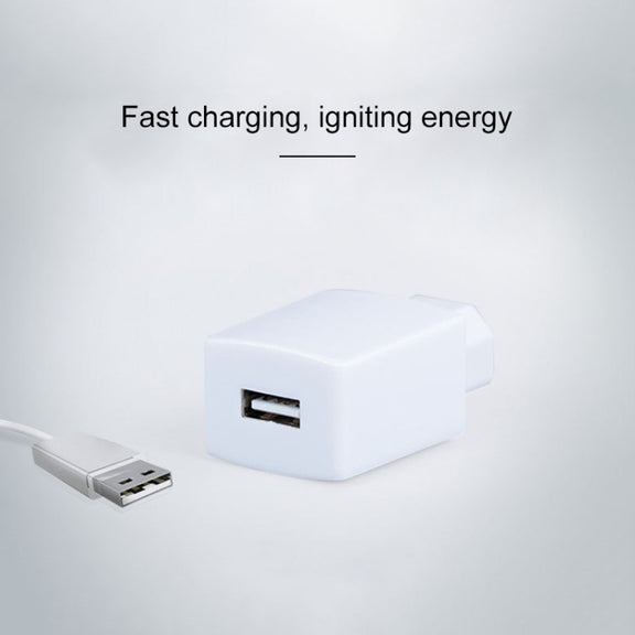 Electrical Motorcycle 36-80V 1A USB Mobile-phone Charger Adapter (White)