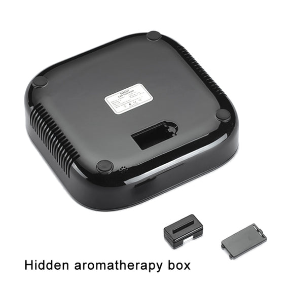 XJ-008 Car Negative Ion USB Air Purifier, Smart Version (Black)
