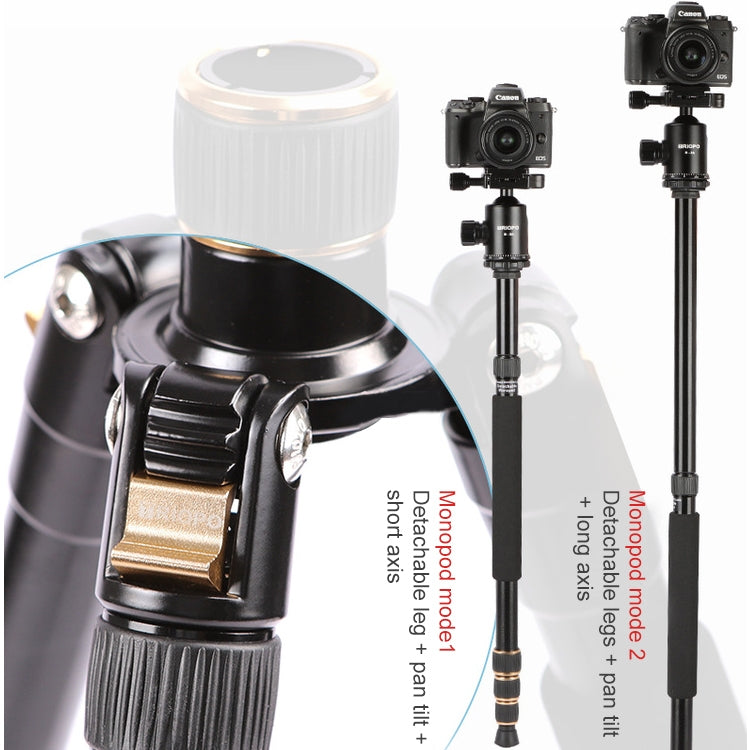 TRIOPO 554 Adjustable Portable  Aluminum Alloy Tripod with D-2A Ball Head for SLR Camera