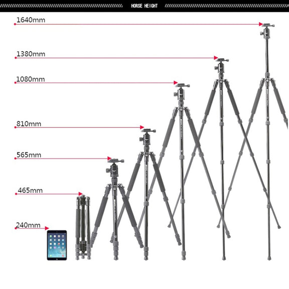 TRIOPO T258 Aluminum Alloy Tripod Monopod with D2 Ball Head (Black)