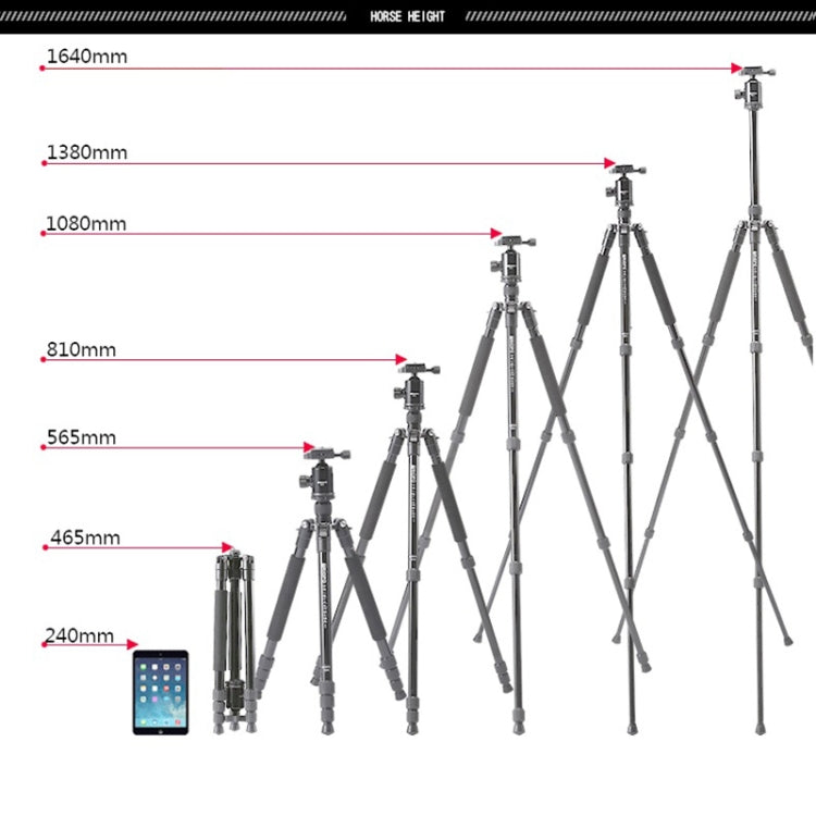 TRIOPO T258 Aluminum Alloy Tripod Monopod with D2 Ball Head (Black)