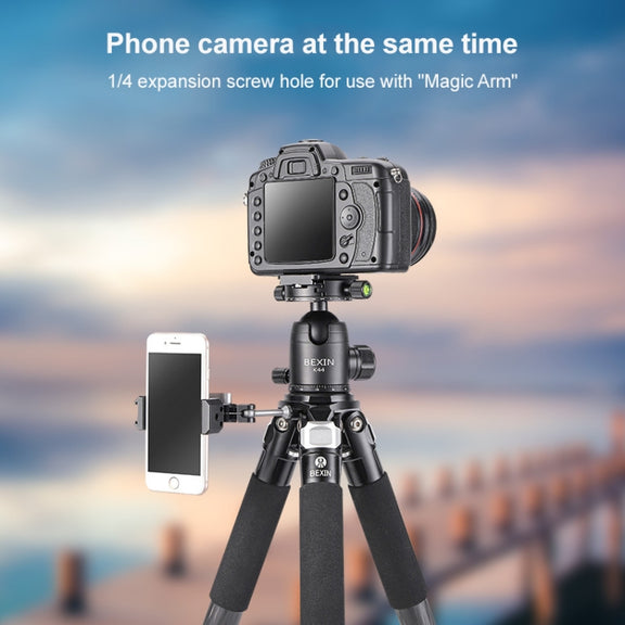 BEXIN RC294 Portable Collapsible Carbon Fiber Camera Tripod with K44 Panoramic Ball Head