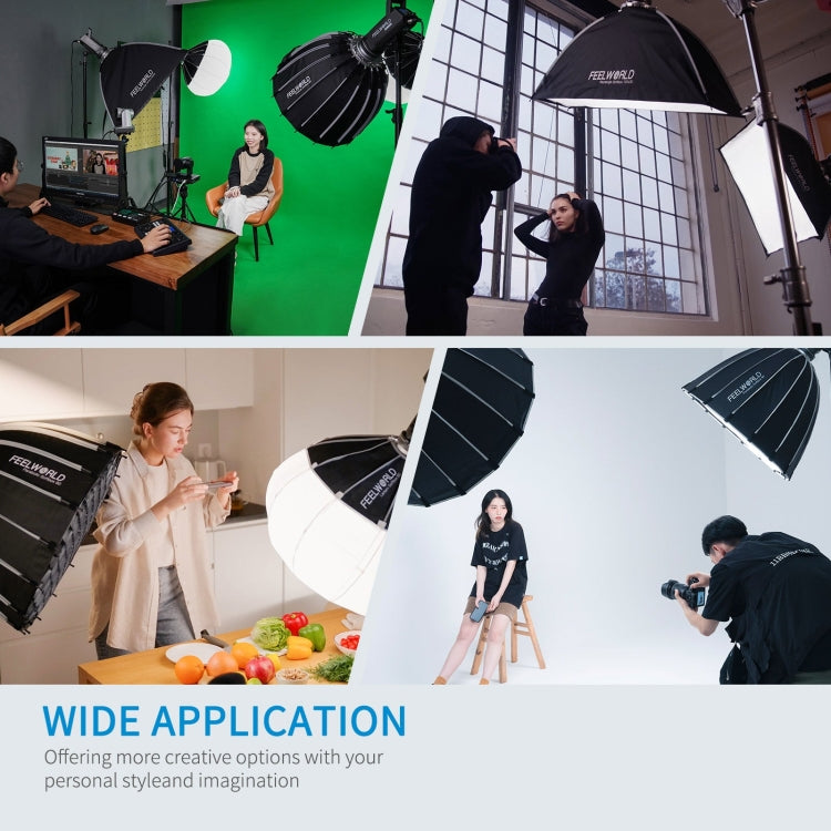 FEELWORLD FL125D 125W Daylight Point Source Video Light, Bluetooth APP Control(EU Plug)