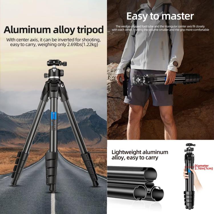 BEXIN TA254-BS30 Portable Collapsible Aluminum Alloy Camera Tripod with Head (Black)