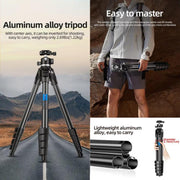 BEXIN TA254-BS30 Portable Collapsible Aluminum Alloy Camera Tripod with Head (Black)