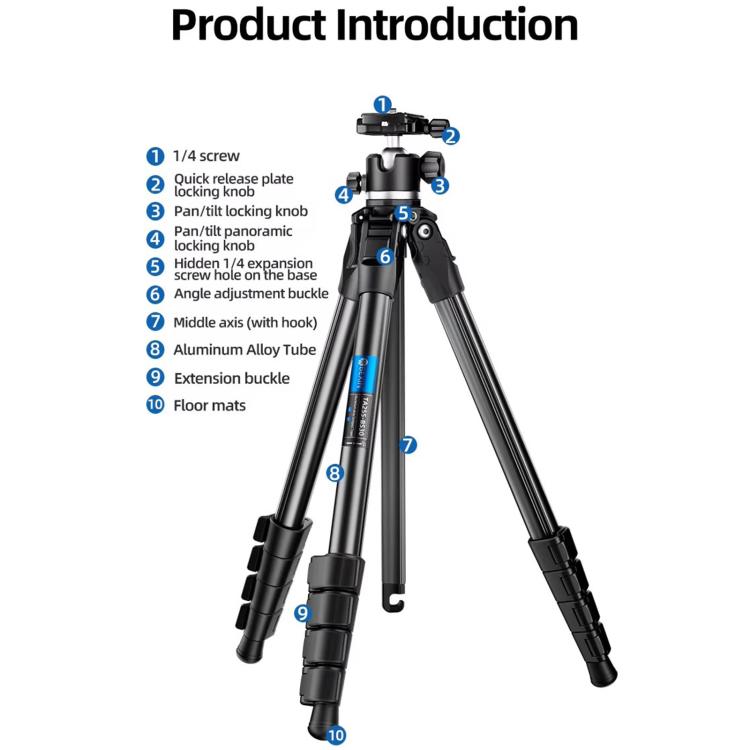BEXIN TA254-BS30 Portable Collapsible Aluminum Alloy Camera Tripod with Head (Black)
