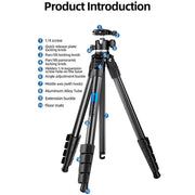 BEXIN TA254-BS30 Portable Collapsible Aluminum Alloy Camera Tripod with Head (Black)