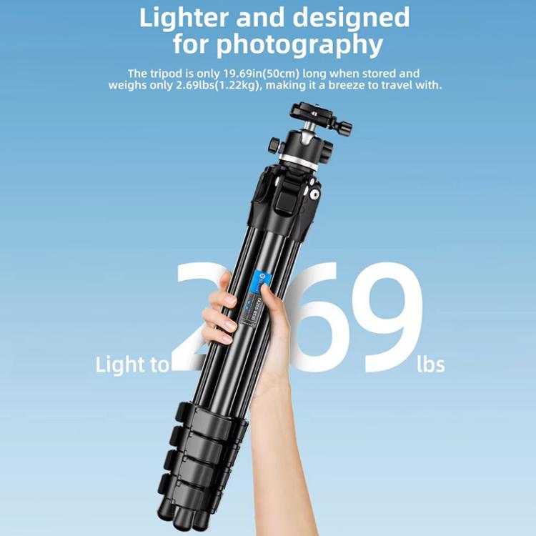BEXIN TA254-BS30 Portable Collapsible Aluminum Alloy Camera Tripod with Head (Black)