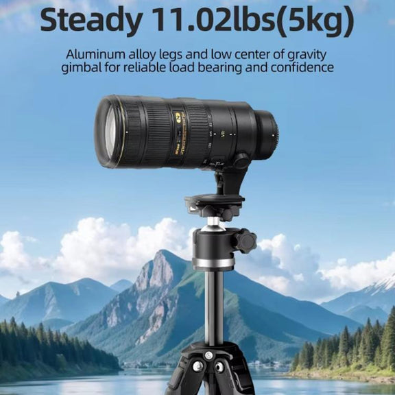 BEXIN TA254-BS30 Portable Collapsible Aluminum Alloy Camera Tripod with Head (Black)