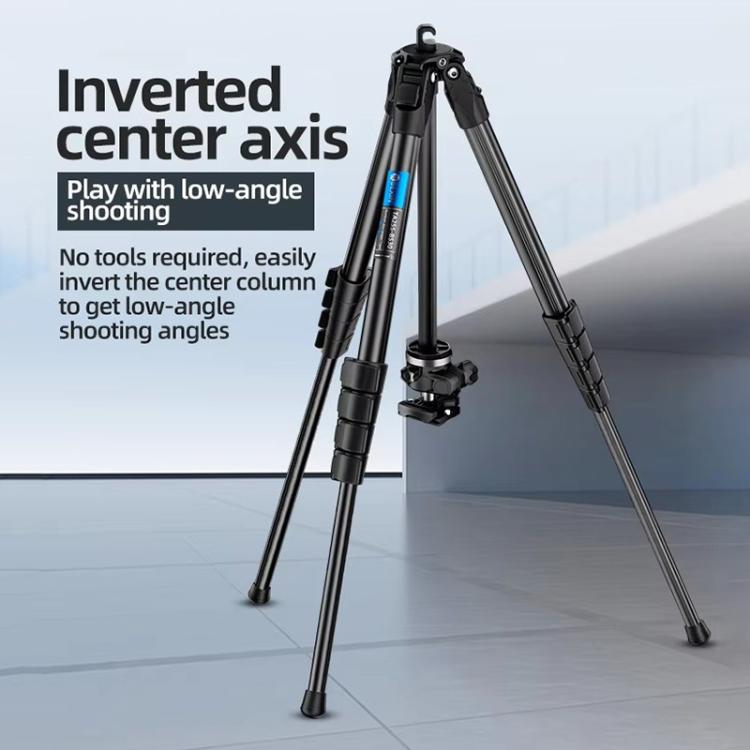 BEXIN TA254-BS30 Portable Collapsible Aluminum Alloy Camera Tripod with Head (Black)