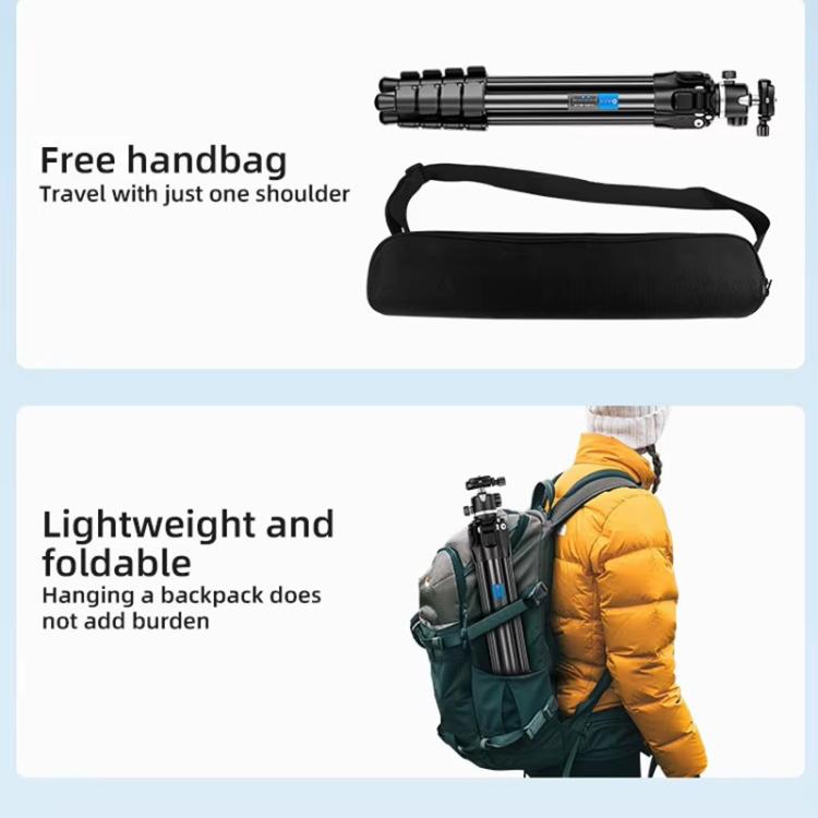 BEXIN TA254-BS30 Portable Collapsible Aluminum Alloy Camera Tripod with Head (Black)