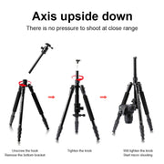 TRIOPO M2508 Multifunction Adjustable 4-Section Portable Aluminum Alloy Tripod Monopod with D-2A Ball Head for SLR Camera