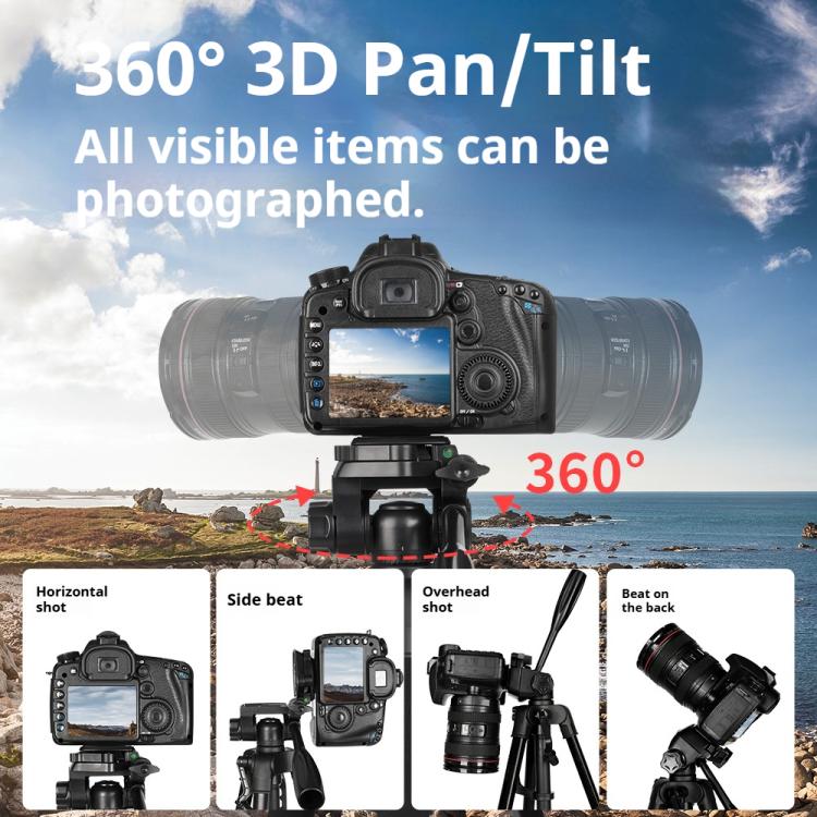 DCA5125B_13.jpg@2556bc8b475fee06fd73c1d2fac4a638