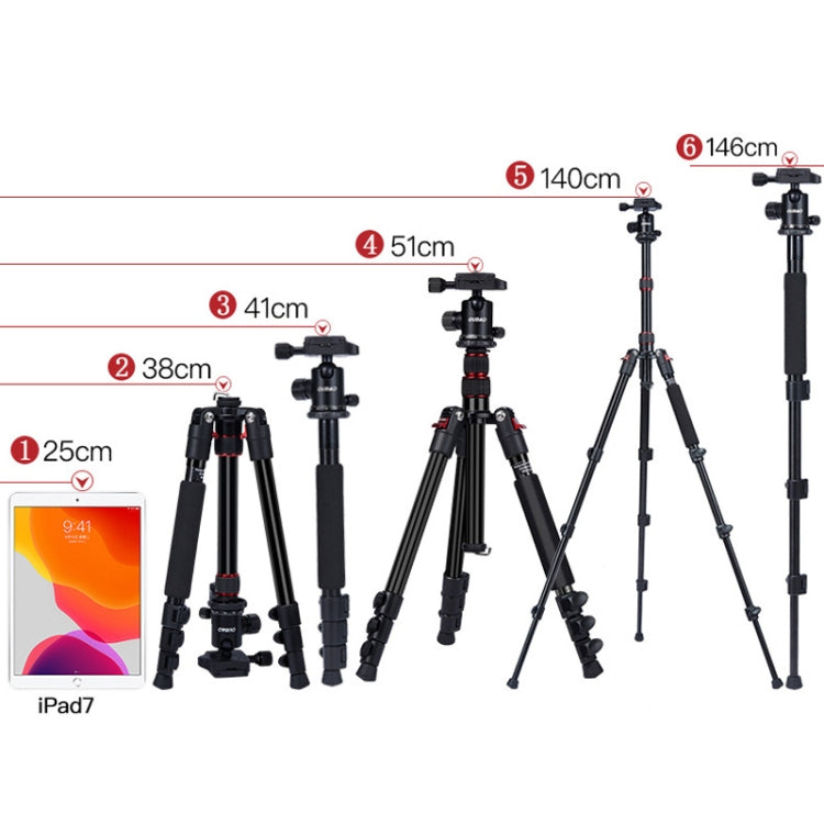 TRIOPO K2508S+B1S Adjustable Portable  Aluminum Alloy Tripod with Ball Head for SLR Camera(Gold)