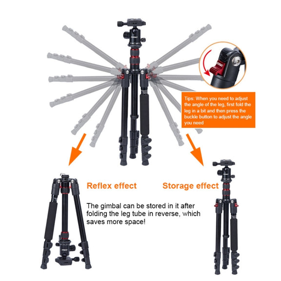 TRIOPO K2508S+B1S Adjustable Portable  Aluminum Alloy Tripod with Ball Head for SLR Camera(Gold)