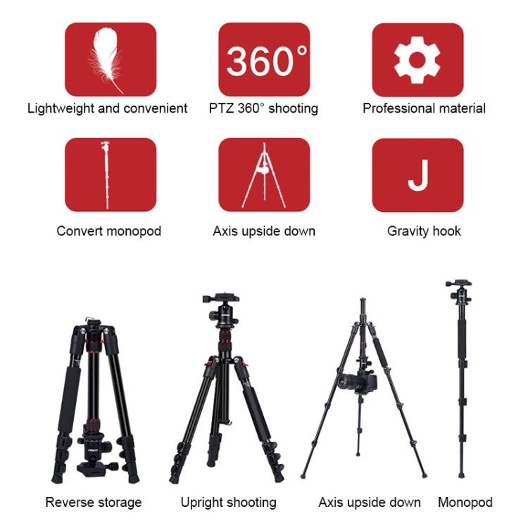 TRIOPO K2508S+B1S Adjustable Portable  Aluminum Alloy Tripod with Ball Head for SLR Camera(Gold)