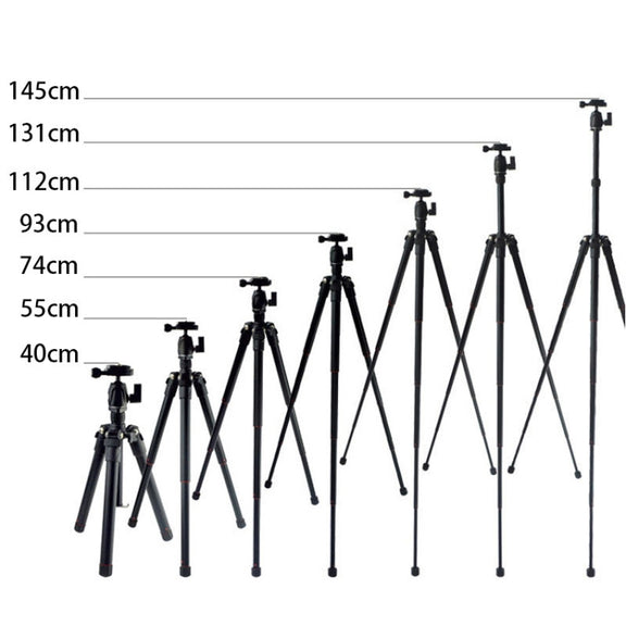 BEXIN MS12 Portable Lightweight Camera Ball Head Tripods Stand for Digital SLR DSLR camera