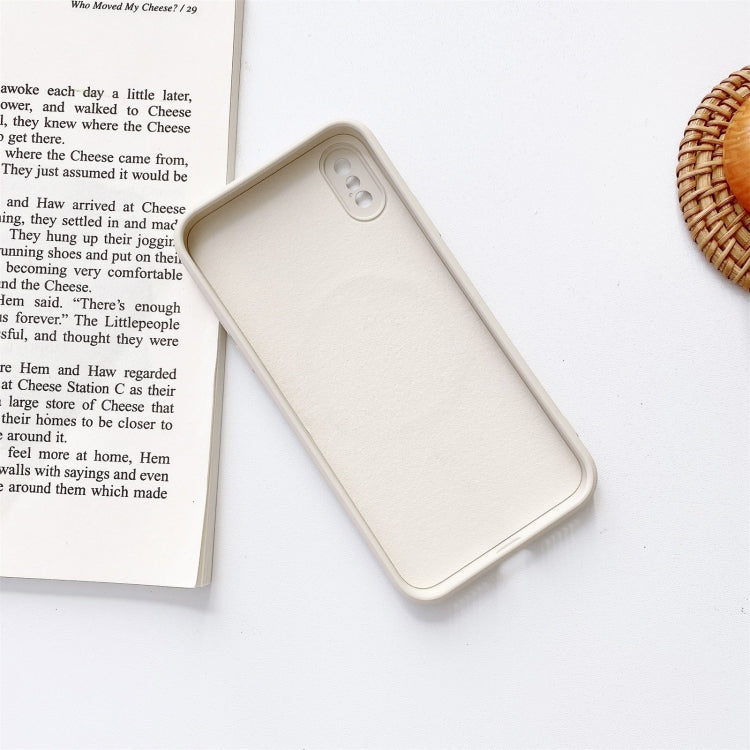 For iPhone X / XS Liquid Silicone Full Coverage Shockproof Magsafe Case(Beige)