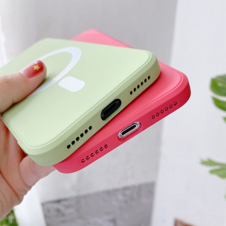 For iPhone X / XS Liquid Silicone Full Coverage Shockproof Magsafe Case(Beige)