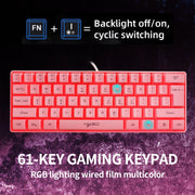 HXSJ V700 61 Keys RGB Lighting Gaming Wired Keyboard (Pink)