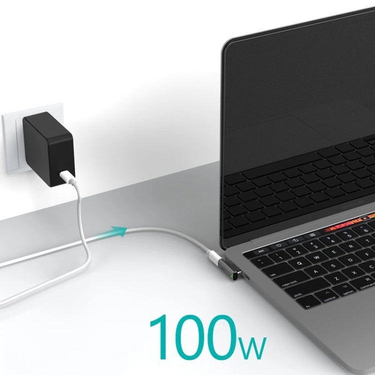 100W USB-C / Type-C Female to 20 Pin Magnetic USB-C / Type-C Male Elbow Adapter (Silver)