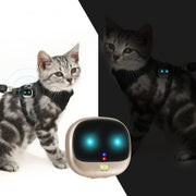 ReachFar RF-V47 IP67 Multi-function Mini GPS Pet Tracker with LED Light & Silicone Case(Black)