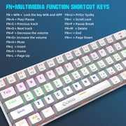 HXSJ V900 61 Keys Cool Lighting Effect Mechanical Wired Keyboard(White)