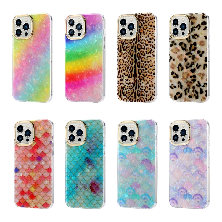 EDA002365605_B1.jpg@003afd0da953b1fe38beac6fd41fe3e0