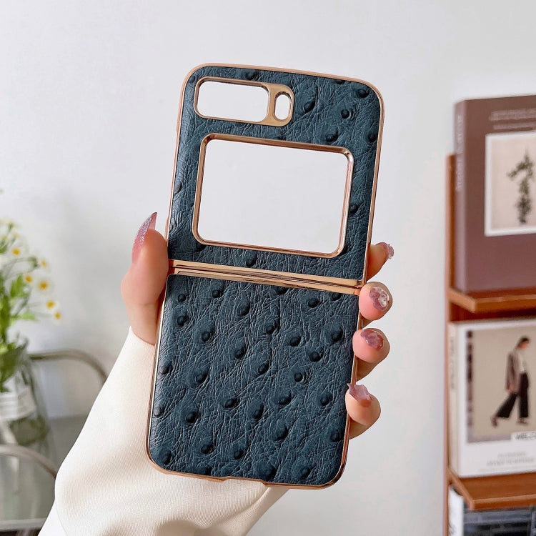 For Motorola Moto Razr 2022 Genuine Leather Ostrich Texture Nano Plating Phone Case(Blue)