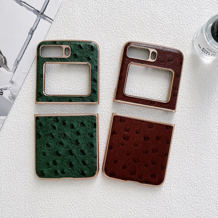 For Motorola Moto Razr 2022 Genuine Leather Ostrich Texture Nano Plating Phone Case(Coffee)