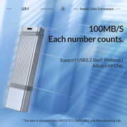 ORICO 256GB Type-C USB3.2 Gen1 USB Flash Drive, Read 260MB/s, Write 50MB/s (Silver)