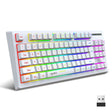 HXSJ L100 87 Keys RGB Backlit Film 2.4G Wireless Keyboard(White) - free shipping - PMC TechLife - Order now!