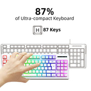 HXSJ L100 87 Keys RGB Backlit Film 2.4G Wireless Keyboard(White)