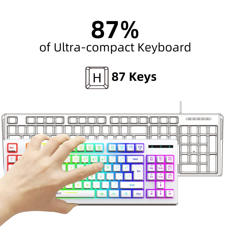 HXSJ L100 87 Keys RGB Backlit Film 2.4G Wireless Keyboard(White)