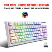 HXSJ L100 87 Keys RGB Backlit Film 2.4G Wireless Keyboard(White)