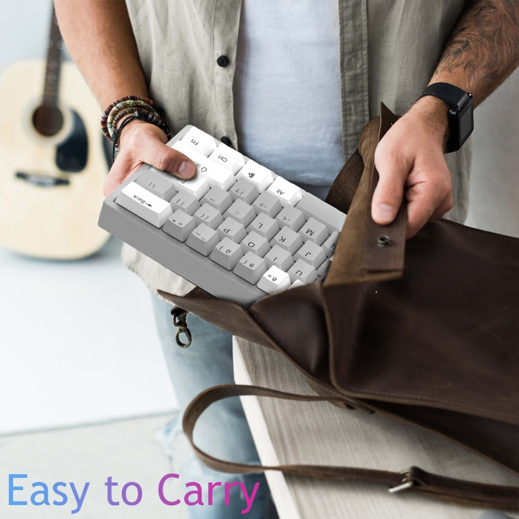 AULA F3261 Type-C Wired Hot Swappable 61 Keys RGB Mechanical Keyboard(Black Grey Tea Shaft)