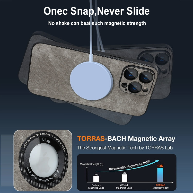 For iPhone 12 Skin Feel Leather MagSafe Magnetic Phone Case(Grey)