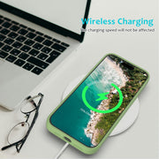 For iPhone 16 Pro Max Solid Color Silicone Phone Case(Mint Green)