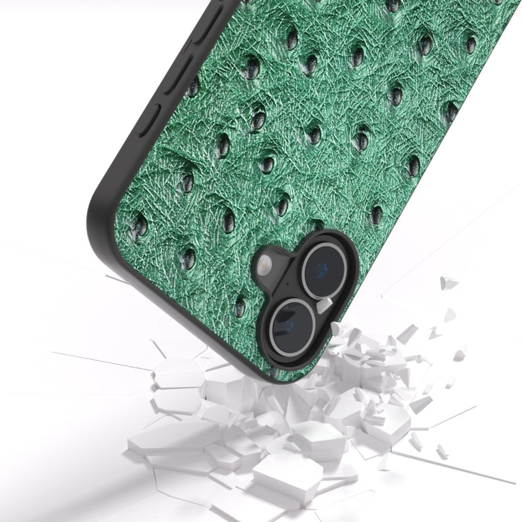 For iPhone 16 Plus ABEEL Genuine Leather Ostrich Texture Phone Case(Green)
