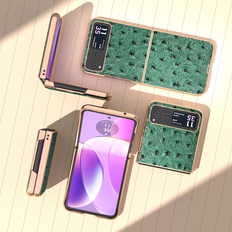 For Motorola Razr 40 Nano Plating Genuine Leather Ostrich Texture Phone Case(Green)