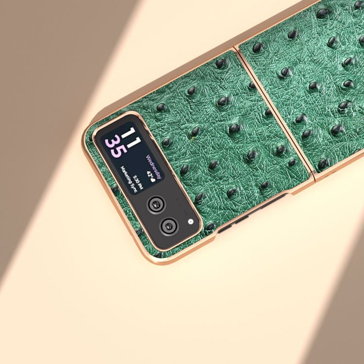 For Motorola Razr 40 Nano Plating Genuine Leather Ostrich Texture Phone Case(Green)