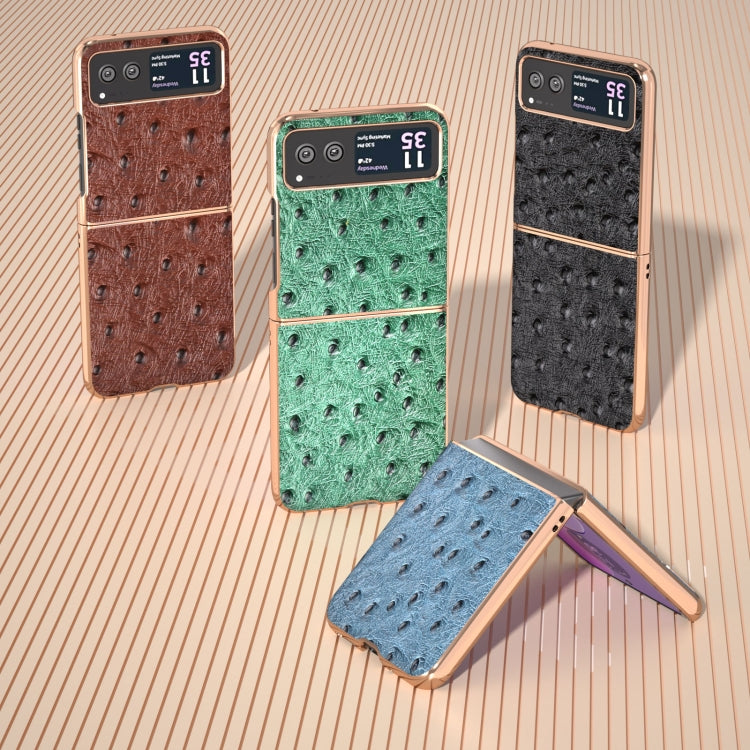 For Motorola Razr 40 Nano Plating Genuine Leather Ostrich Texture Phone Case(Black)