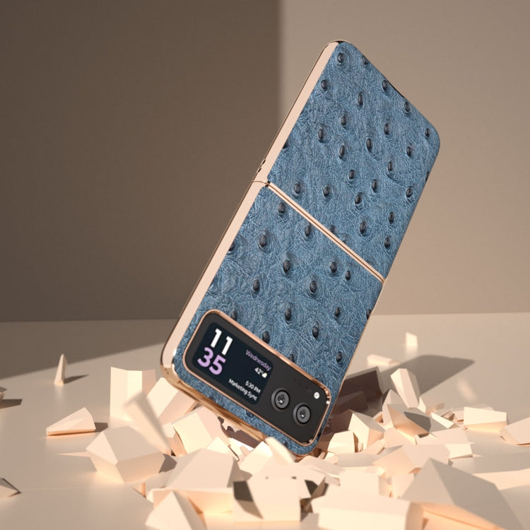 For Motorola Razr 40 Nano Plating Genuine Leather Ostrich Texture Phone Case(Blue)