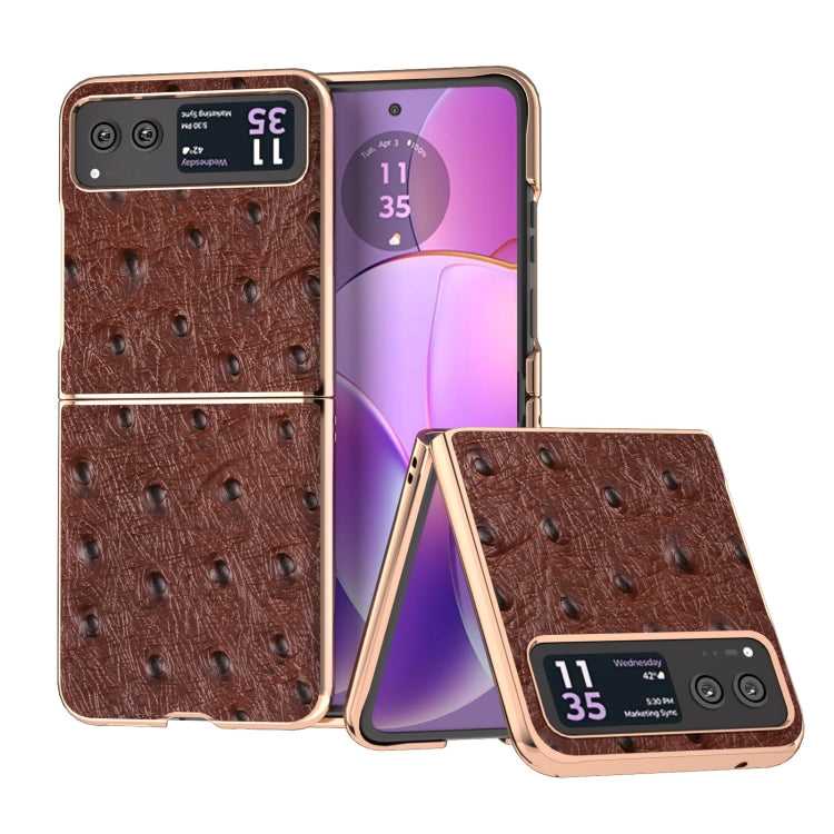 For Motorola Razr 40 Nano Plating Genuine Leather Ostrich Texture Phone Case(Coffee)